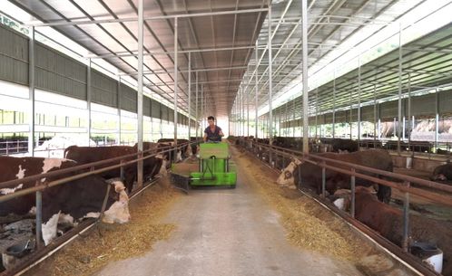 会昌三款产品入选全国名特优新农产品公示名单，彰显初级农产品品质新高度