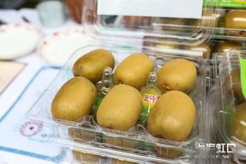 助力脱贫攻坚，品味地道风物——鲁迅公园特色农产品直销活动正式启动