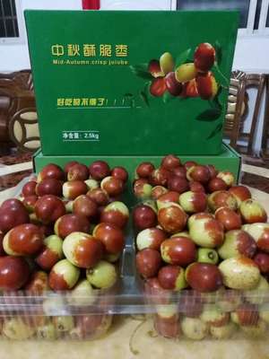 茂名农产品种苗批发 初级农产品产业链的活力之源