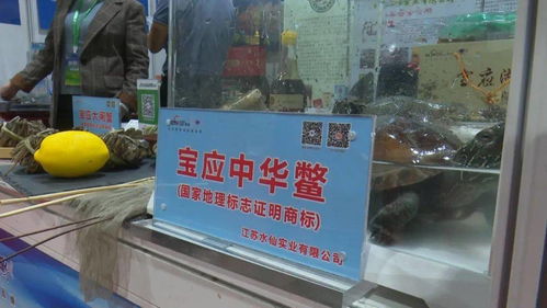 宝应3企业优质农产品亮相江苏农展会，上海市民竞相“打call”