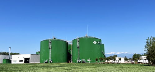 擦亮金字招牌 大邑绿色种养循环模式助推农产品质升量高