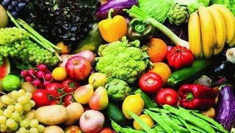 登封多举措推进城市发展与民生建设