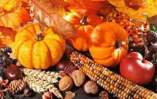 丰收节里寻“金”记 初级农产品的产业化新机遇