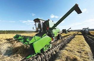 政府如何定位与发力 农业供给侧改革中的初级农产品之策