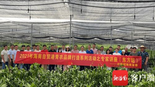 初探农产品 从田间地头到餐桌的绿色之源